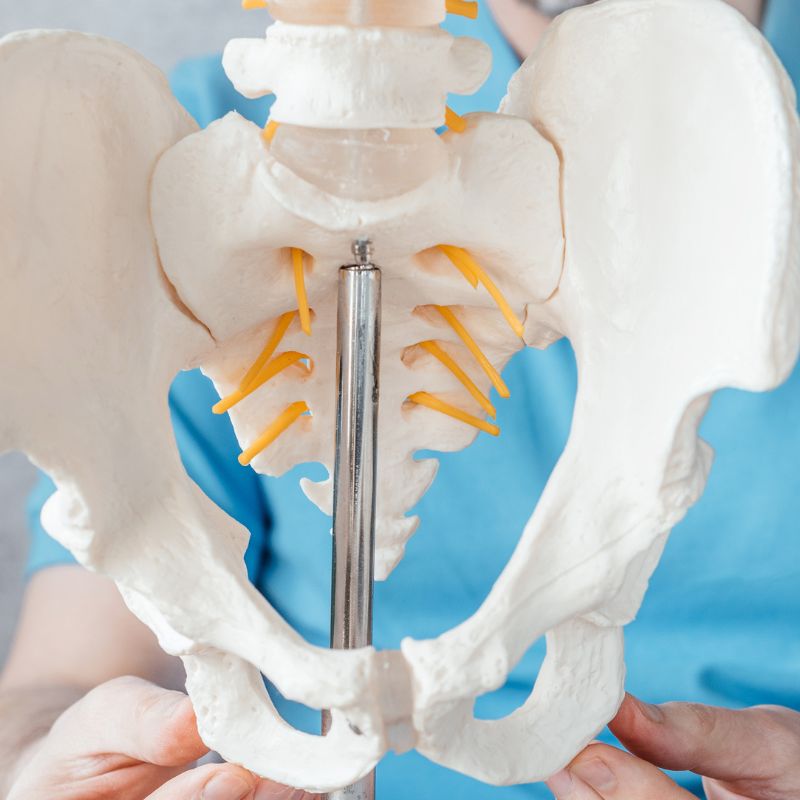 Hip Treatment