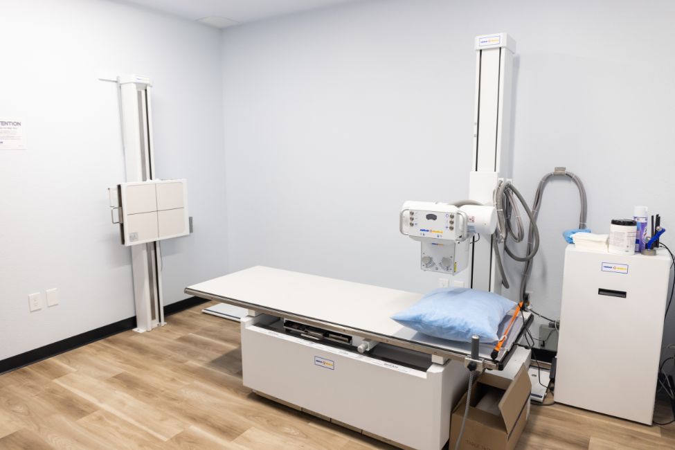 >When Are X-Rays Needed?